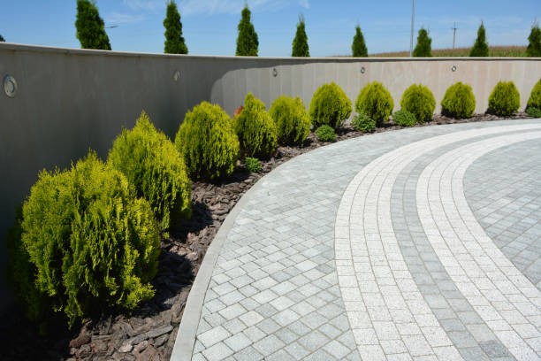 Best Residential Paver Driveway  in Evart, MI